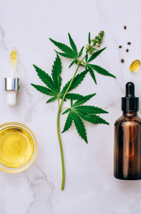 Regulation on Products Derived from Cannabis Published