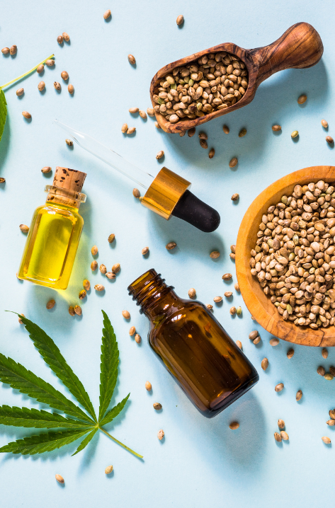 New Regulation on Medical Products, Health and Support Products, and Personal Care Products Derived from Cannabis