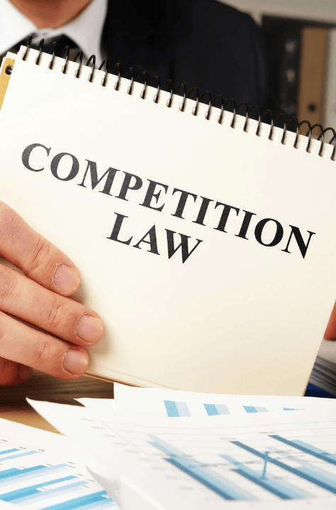 Personal Liability in Competition Investigations: Insights from Recent Board Decision